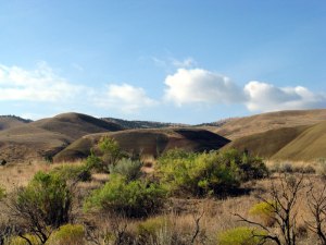 OutbackPhotoWL