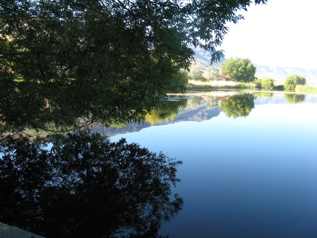 The North Pond and Reflections