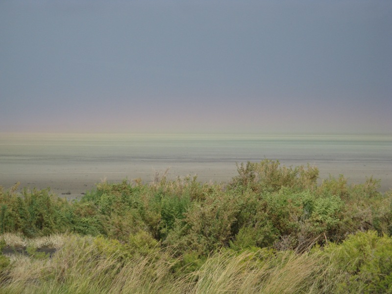 DustStormWipeOutWL