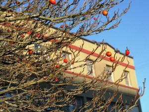 resberriesBldgw
