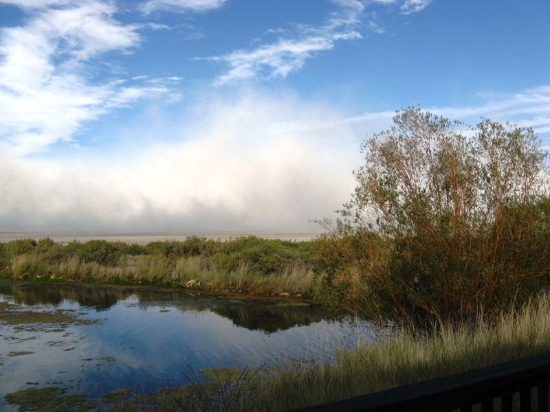 DustStormwithPond