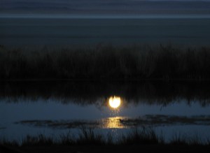MoonReflectionWL