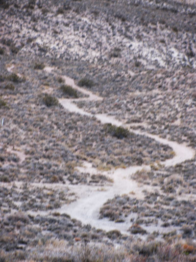 TrackThroughPioneer