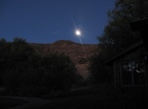 MoonAMwl