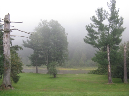 Morning Fog